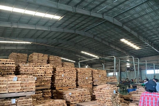 Ngành gỗ tăng cường tính minh bạch trong chuỗi cung ứng