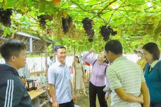 Ninh Thuận đón hơn 2,29 triệu lượt khách du lịch