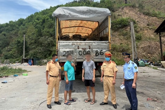 Bắt giữ xe tải chở 4 tấn hàu không rõ nguồn gốc