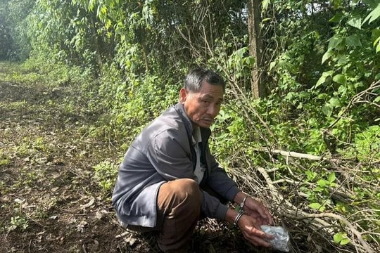 Bắt đôi tình nhân buôn ma túy