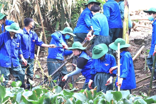 Tuổi trẻ Nghệ An nối mạch nguồn xanh giữa đại ngàn