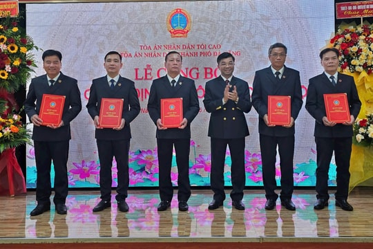 Trao quyết định bổ nhiệm Phó Chánh án TAND Thành phố, Chánh án, Phó Chánh án TAND khu vực Đà Nẵng