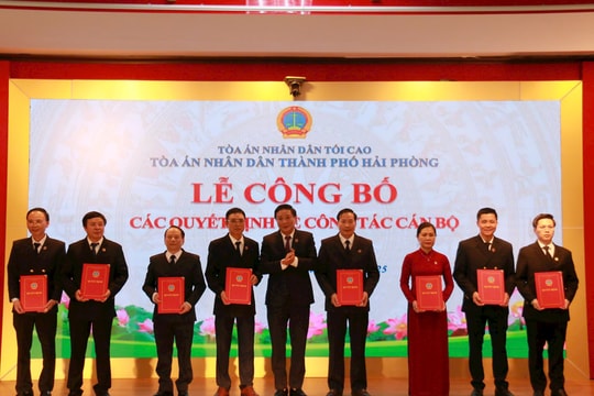 Bổ nhiệm lãnh đạo TAND TP Hải Phòng và các Toà án khu vực