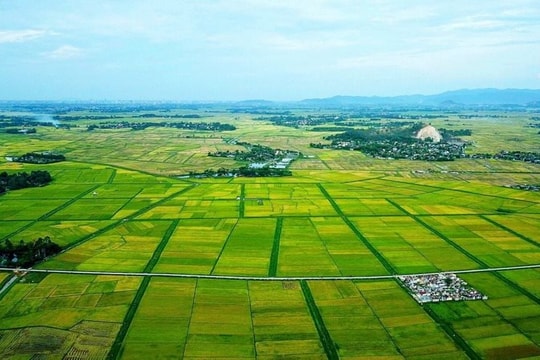 Thủ tục đất đai được thực hiện thế nào từ 01/7?