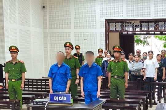 Lĩnh án tù vì đưa 6 người nhập cảnh trái phép