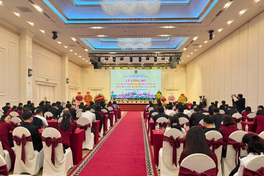 Tòa án nhân dân tỉnh Tuyên Quang công bố và trao quyết định bổ nhiệm lãnh đạo