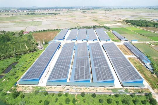 Mở đường phát triển điện mặt trời mái nhà