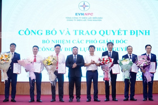 Điện lực Thái Nguyên kiện toàn bộ máy sau sáp nhập