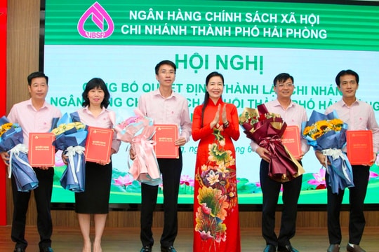 Thành lập Chi nhánh Ngân hàng CSXH TP Hải Phòng sau sáp nhập