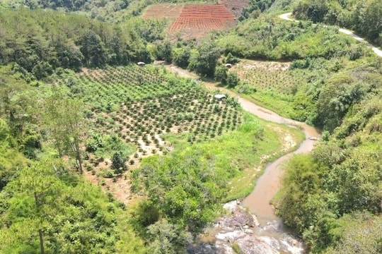 Xử phạt chủ đầu tư thuỷ điện Đăk Pru vì chậm tiến độ