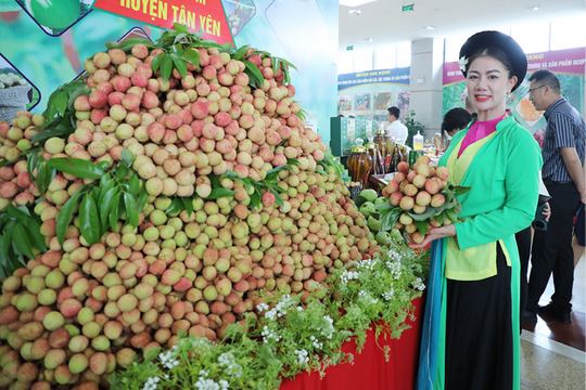 Bắc Ninh: Khởi sắc từ Chương trình mỗi xã một sản phẩm OCOP