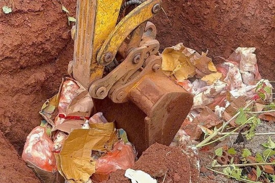 Lâm Đồng: Tiêu hủy 520kg thịt đông lạnh nhập lậu