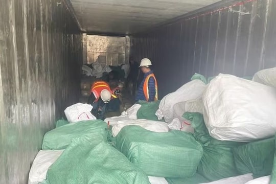 Hải quan khởi tố vụ án trốn thuế 7 tỷ đồng