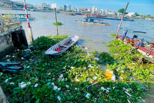 Cần xử lý tình trạng rác thải tại chợ nổi Cái Răng