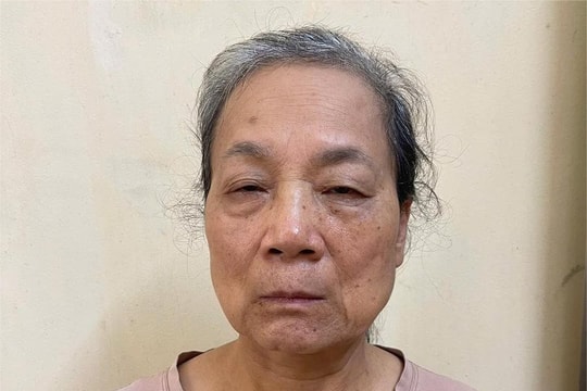 Tuyên Quang: Một phụ nữ bị khởi tố vì xúc phạm lãnh đạo nhiều cơ quan trên mạng xã hội