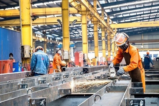 Doanh nghiệp “tái sinh” mạnh mẽ: Mỗi tháng gần 25.500 doanh nghiệp gia nhập thị trường