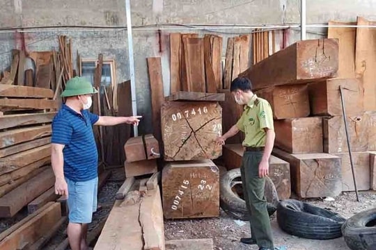Thông tư mới quy định hình thức kiểm tra, truy xuất nguồn gốc lâm sản