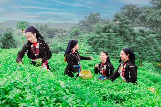 Thái Nguyên: Bừng sáng tiềm năng du lịch trong kỷ nguyên phát triển mới