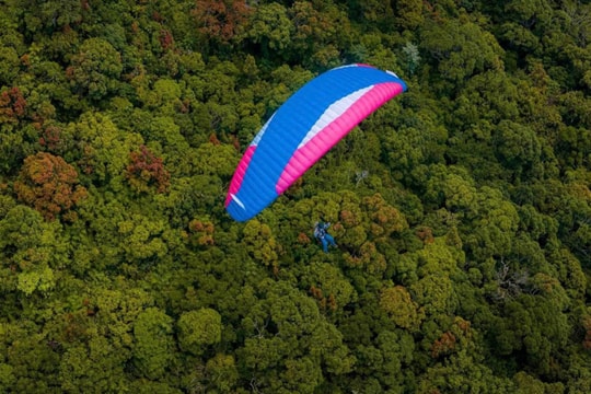 Rà soát toàn bộ hoạt động bay dù lượn tại Sơn Trà