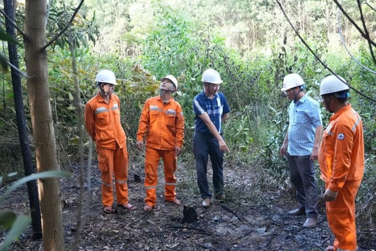 Người dân chặt cây keo gây đứt đường dây 110kV Nông Cống – Nghi Sơn