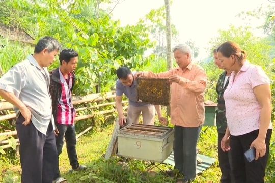 Cao Bằng thúc đẩy giảm nghèo bền vững bằng giải pháp đồng bộ, sát thực tiễn