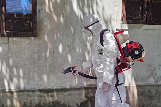 Huế siết chặt kiểm soát giết mổ sau nhiều ca mắc liên cầu lợn