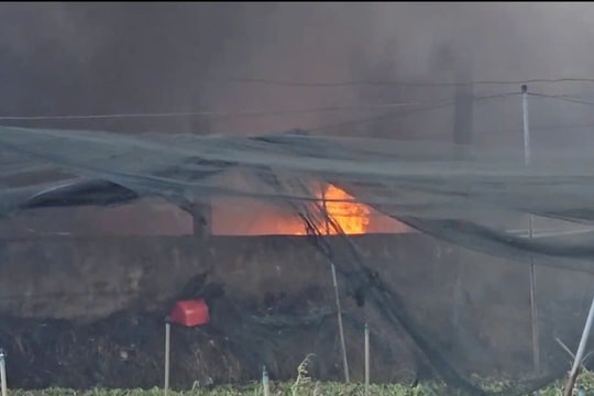 Cháy lớn ở bãi ve chai, phế liệu rộng hàng ngàn m²