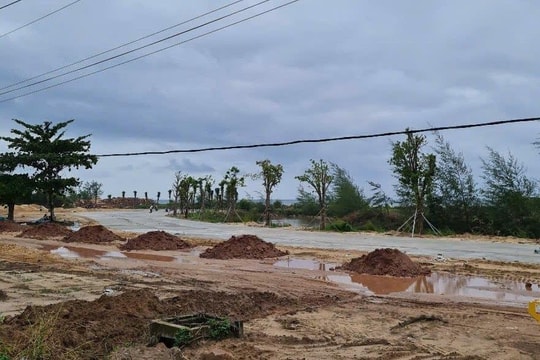 Tòa án công nhận diện tích đất cho người khai hoang và sử dụng là thấu tình đạt lý