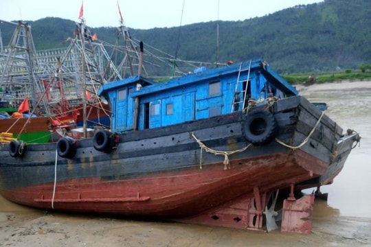 Cảng Hòa Lộc bị bồi lắng, ngư dân khốn đốn