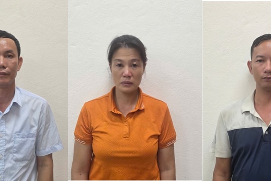 Ba cán bộ lâm nghiệp bị khởi tố vì vi phạm quy định về rừng