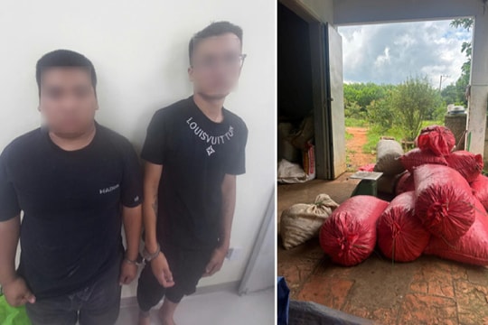 Bắt 2 thanh niên trộm 4,2 tấn hạt điều