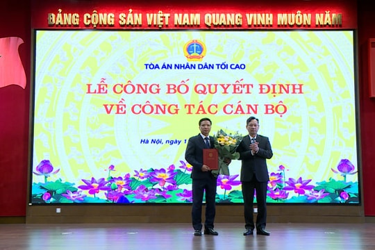 Tòa án nhân dân tối cao có tân Chánh Thanh tra
