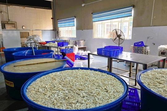 Phát hiện gần 7 tấn chân gà ngâm hóa chất