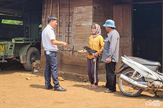 Bé trai 12 tuổi tử vong nghi do bệnh dại