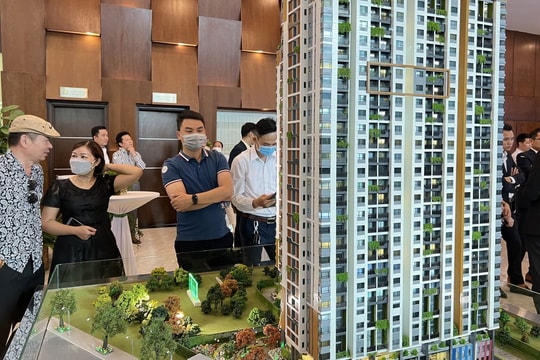 Tâm lý FOMO trở lại trên thị trường bất động sản