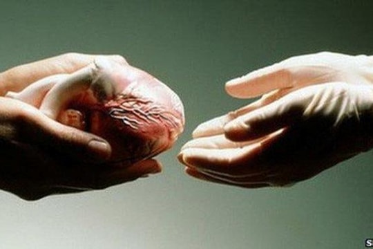 Đề xuất quy định để đảm bảo tính nhân đạo, chống thương mại hóa việc hiến tạng