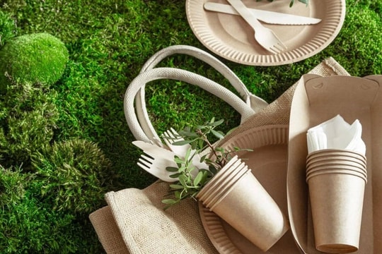 Nhu cầu bao bì xanh tăng mạnh