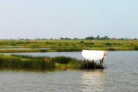 Hà Nội: Bồi thường 100% giá trị vật nuôi không thể di chuyển khi Nhà nước thu hồi đất