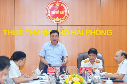 Hải Phòng đẩy mạnh chống thất thu, xử lý nghiêm hành vi gian lận thuế