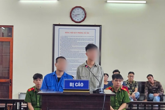 Mua bán ma túy, 2 đối tượng lĩnh án