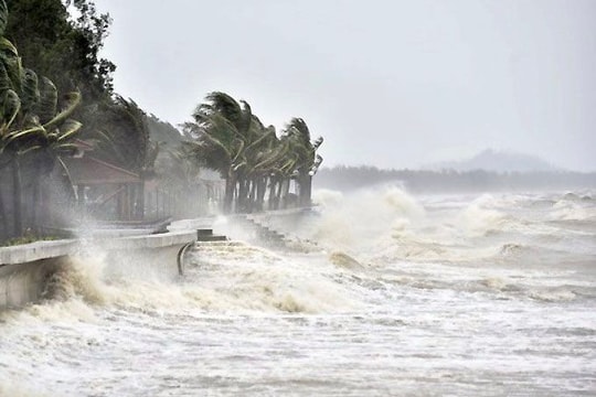 TP Hải Phòng, Quân chủng Hải quân chỉ đạo khẩn trước diễn biến bão Wipha