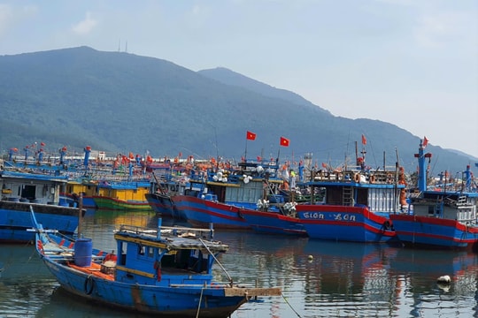 Đà Nẵng triển khai toàn lực ứng phó bão WIPHA