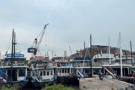 Tàu thuyền Quảng Ninh khẩn trương vào nơi tránh trú trước bão số 3