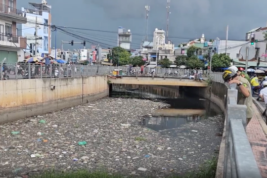 Cá sấu bất ngờ xuất hiện ở TP.HCM