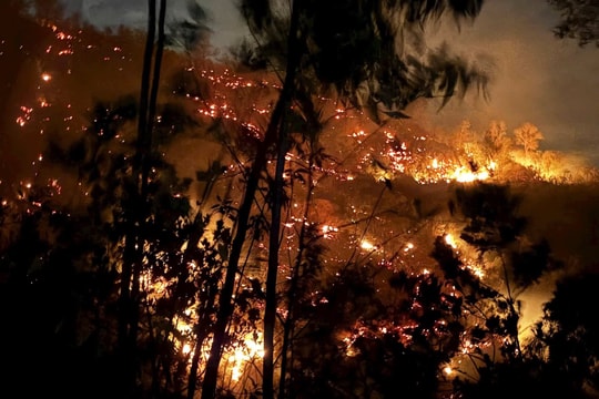 Xuyên đêm khống chế vụ cháy rừng