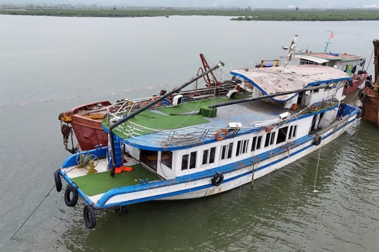 Vụ lật tàu Vịnh Xanh: 35 người tử vong, còn 4 người mất tích, đang dốc sức tìm kiếm