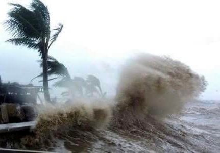 Hải Phòng: Các đơn vị, địa phương nghiêm túc, khẩn trương phòng, chống bão số 3