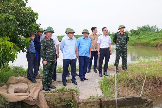 Hải Phòng lập các tổ kiểm tra, chỉ đạo phòng, chống bão số 3