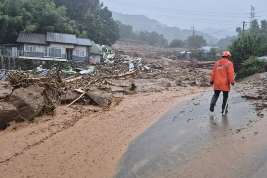 Số người tử vong vì mưa ở Hàn Quốc tăng lên 14