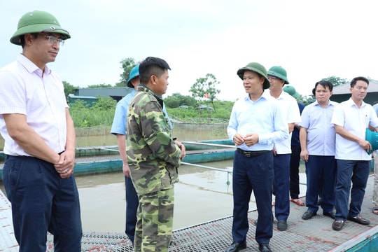 Bắc Ninh: Các địa phương ưu tiên đảm bảo an toàn tính mạng, tài sản cho người dân trước ảnh hưởng bão số 3
